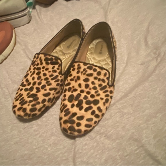 Birdies The Starling
Cheetah Calf Hair - Picture 1 of 8